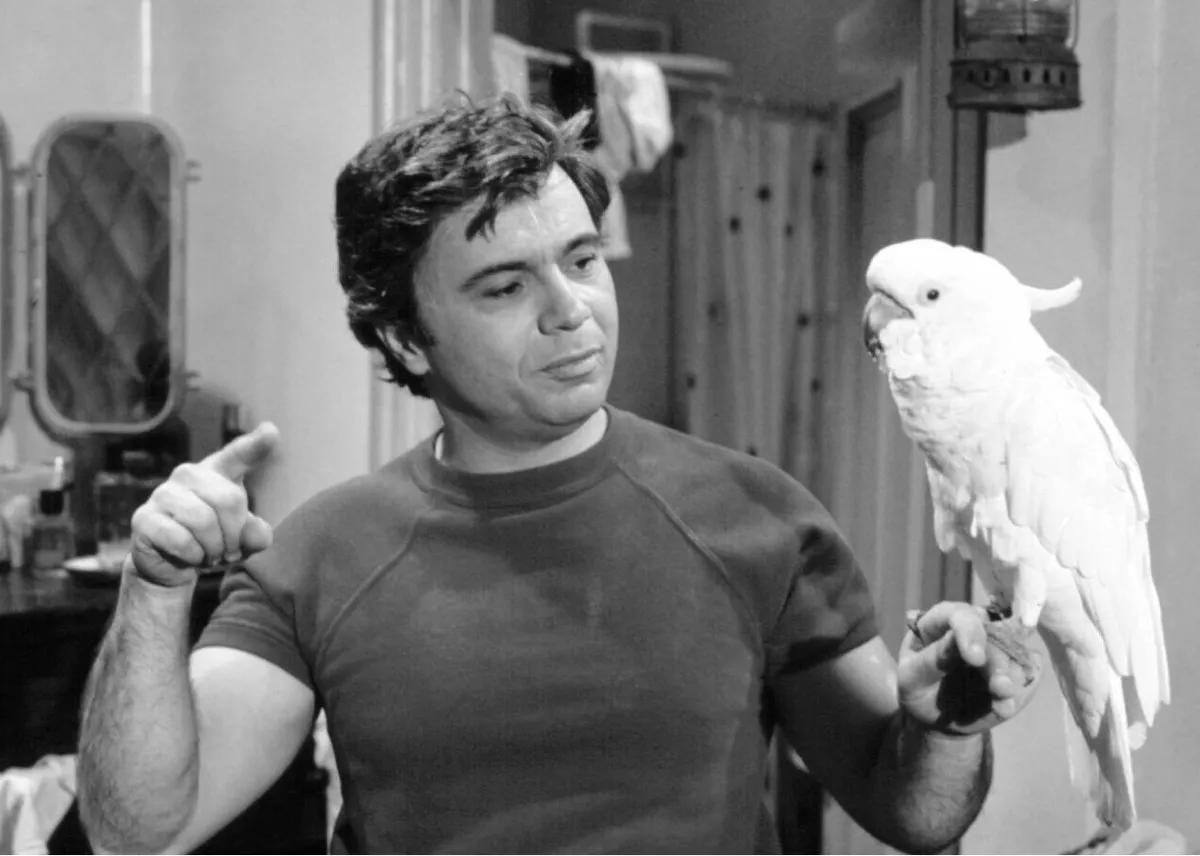 Series retro: 'Baretta' (1975 -1978)